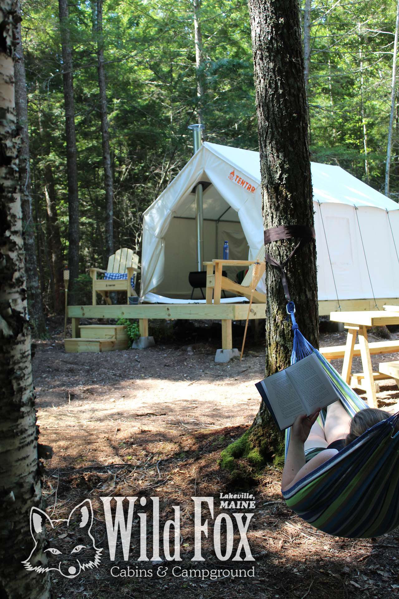 Picture of the site