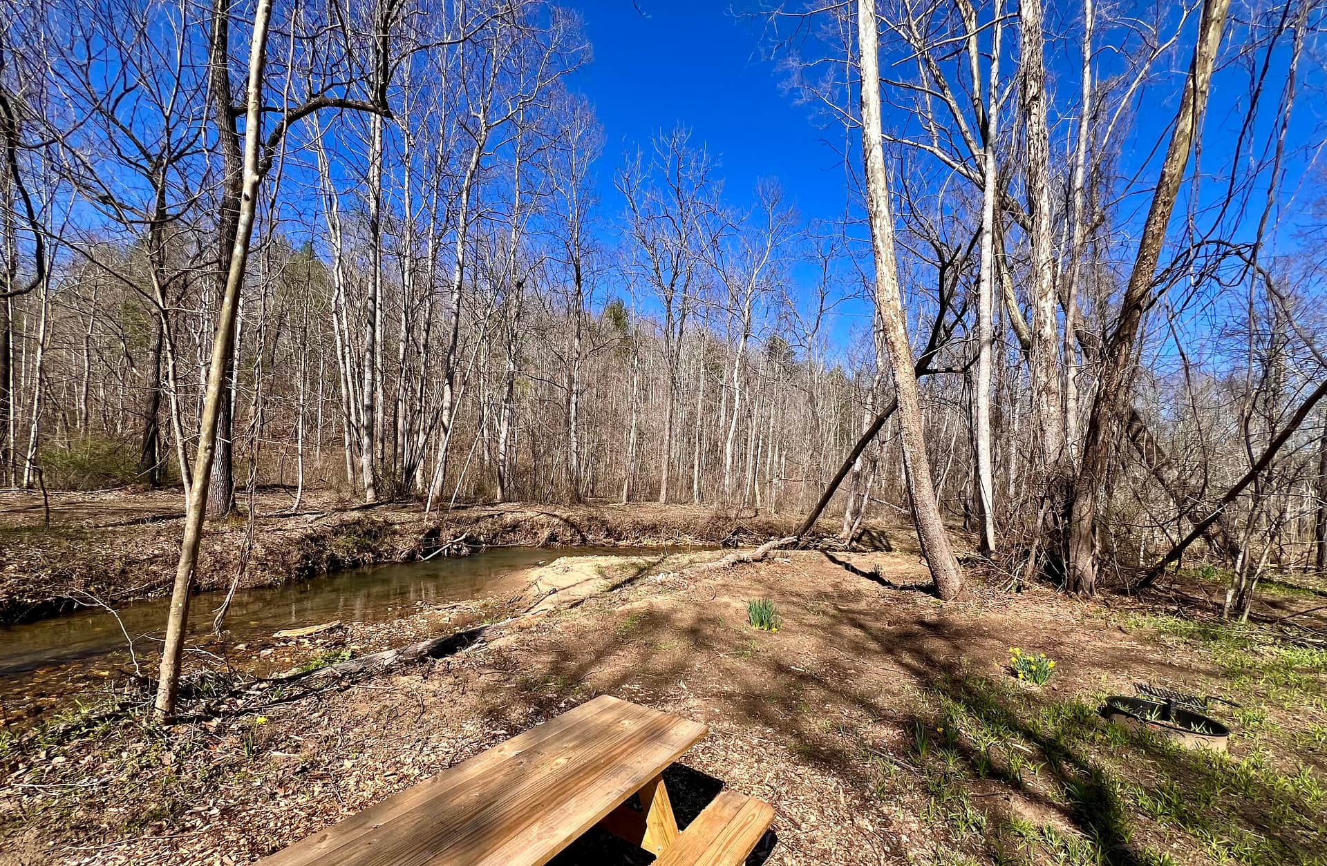Picture of the site