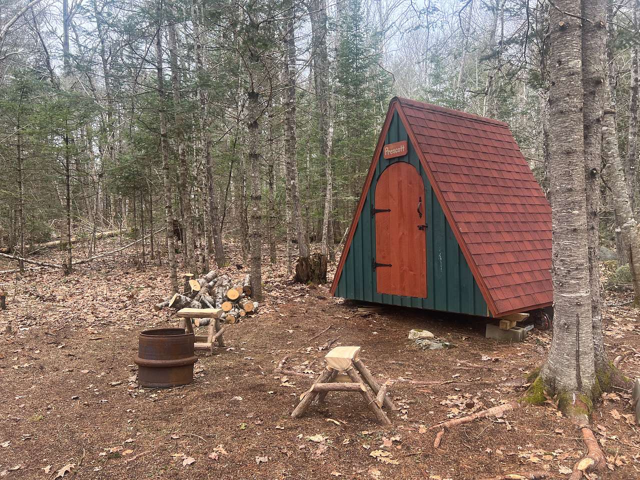 Picture of the site