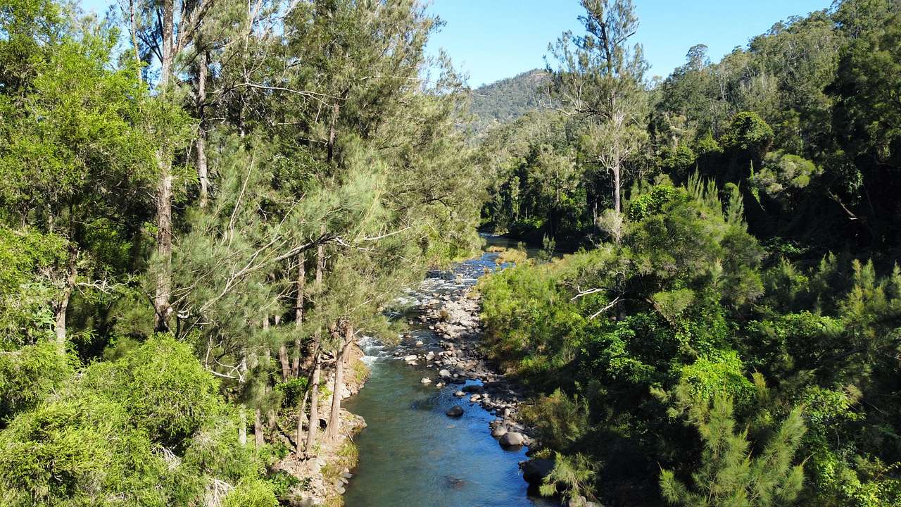 Sarabah Creek Camping