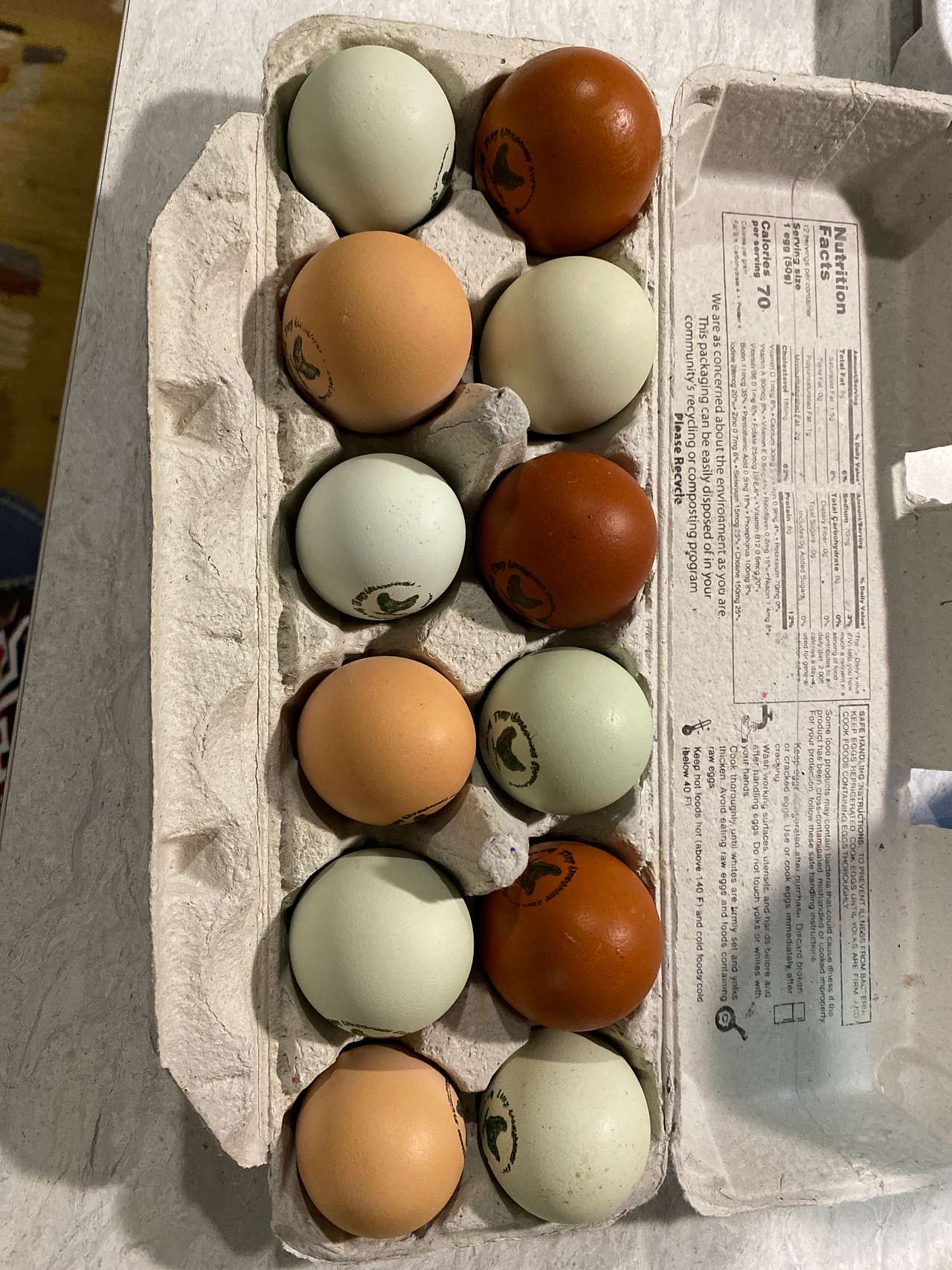 Beautiful Eggs!