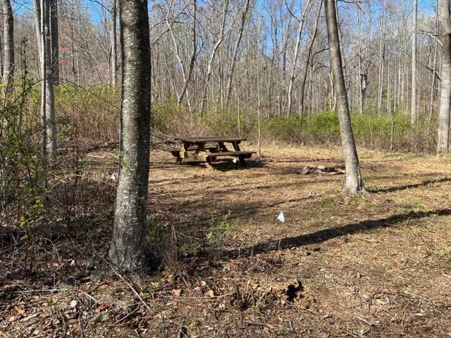The creek is a two-minute walk away from the campsite.