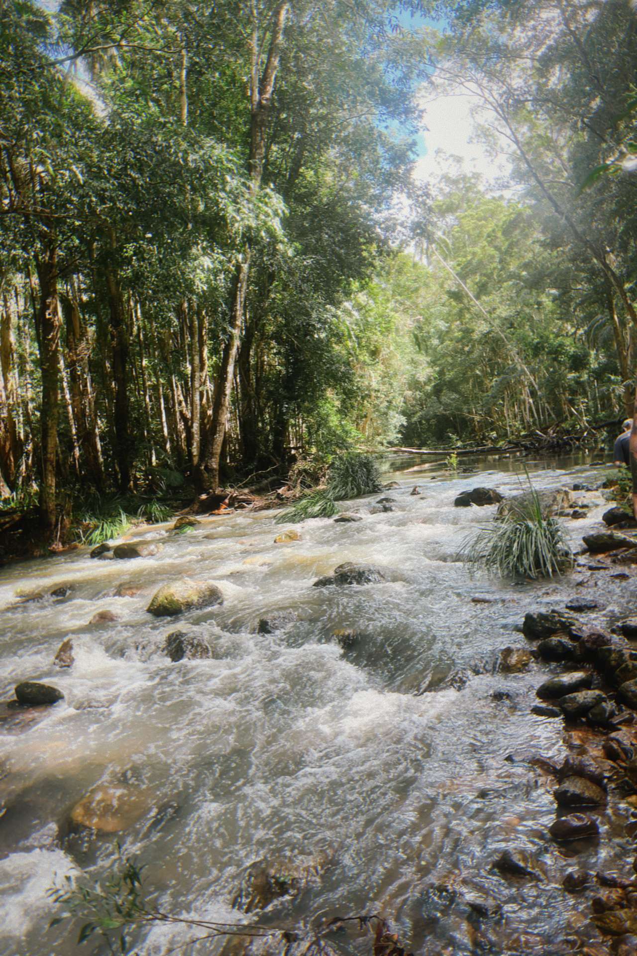 Browns Creek Camping