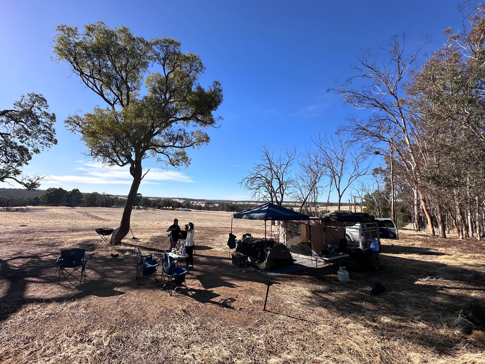 Picture of the site