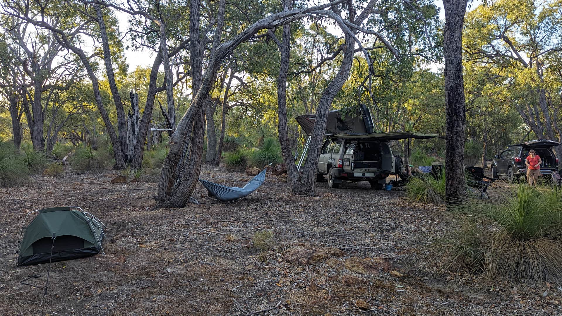 Picture of the site