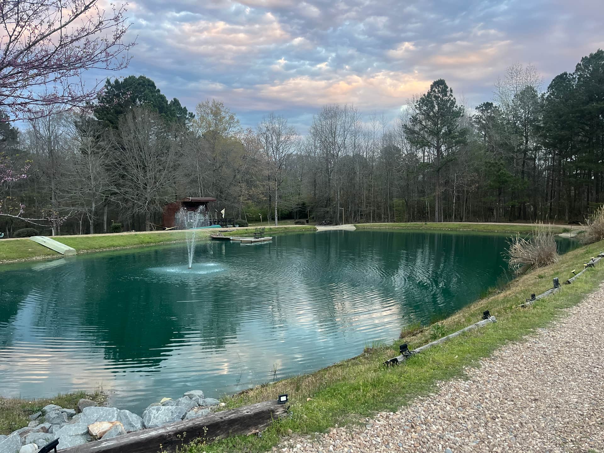 Fishers Pond at the Treehouse