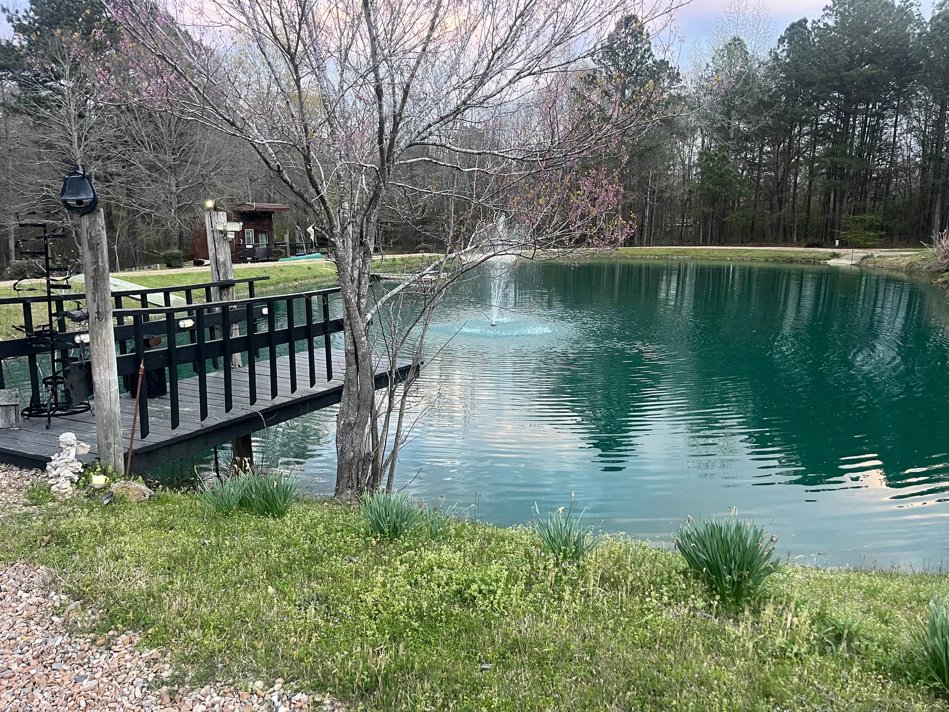 Fishers Pond at the Treehouse