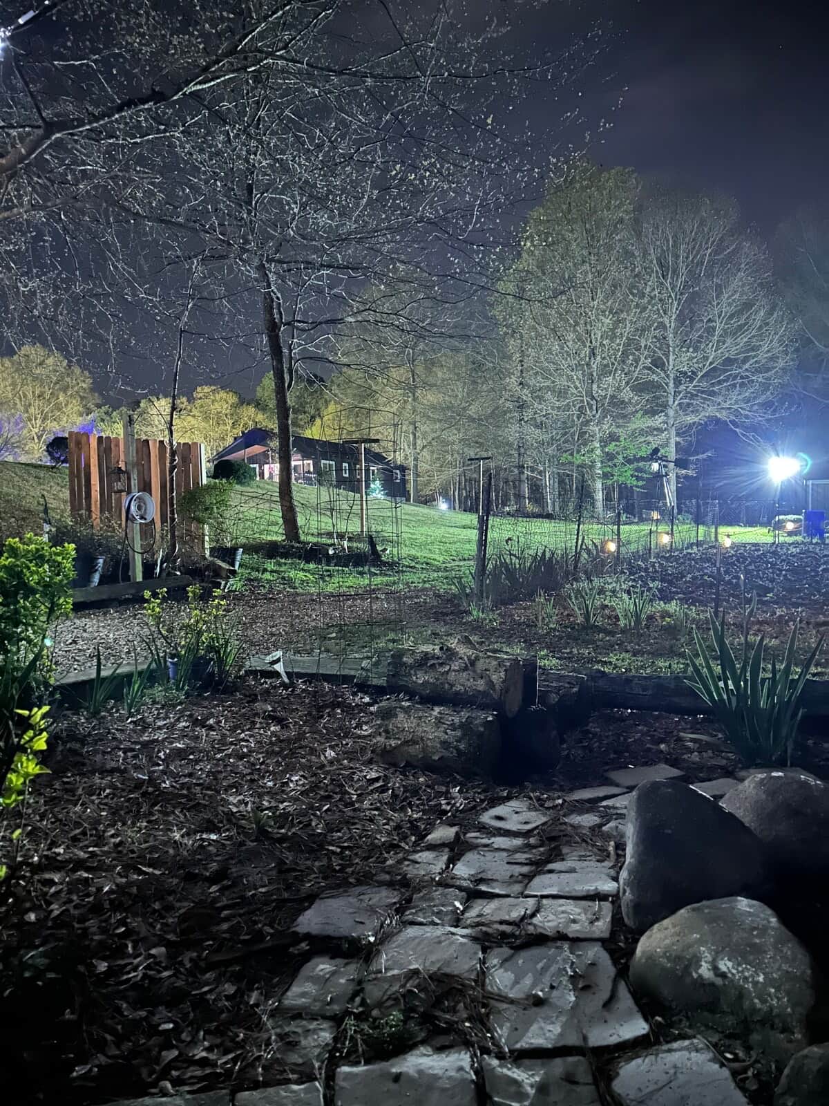 Fishers Pond at the Treehouse