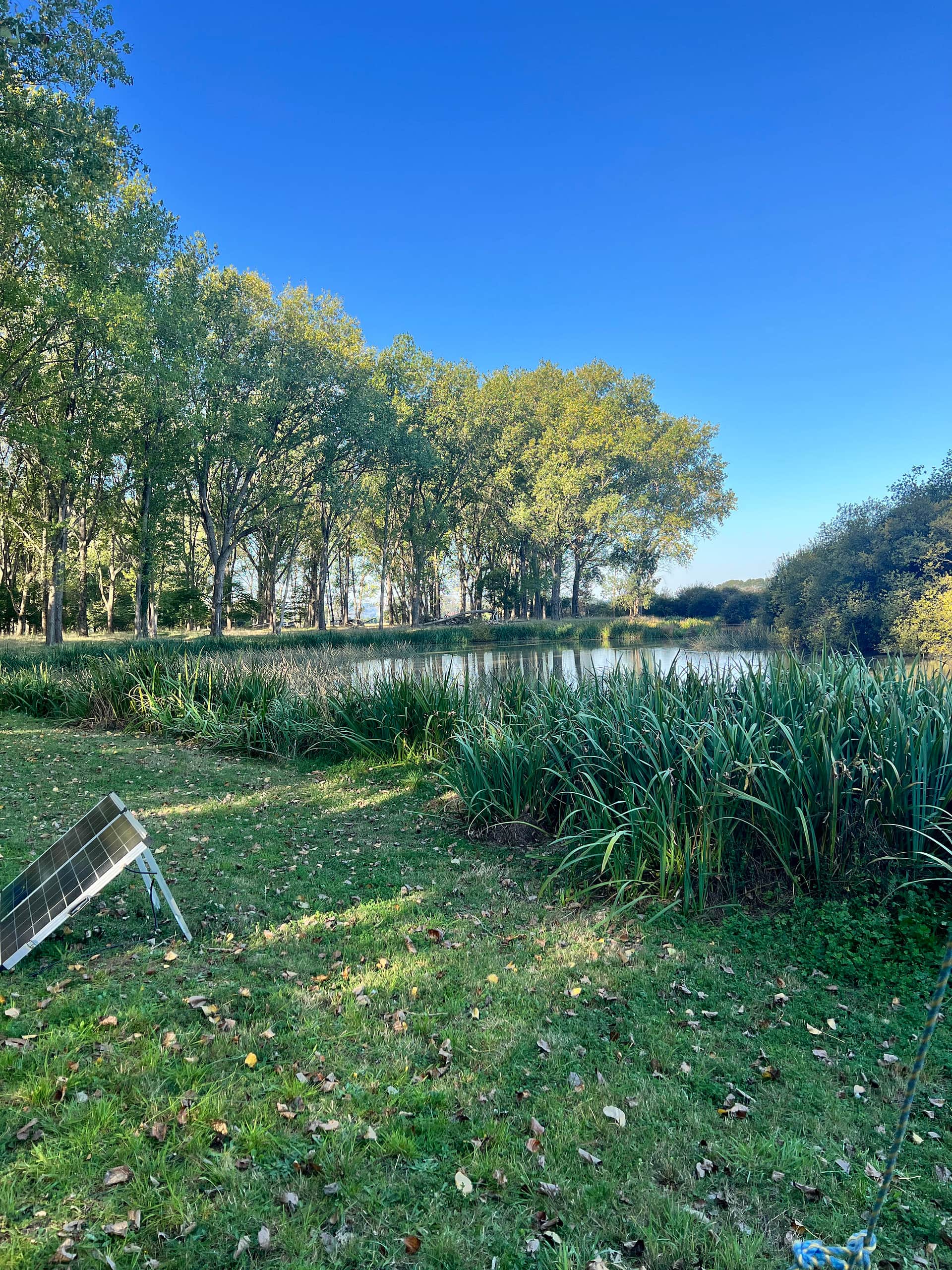Wings of the Carribee