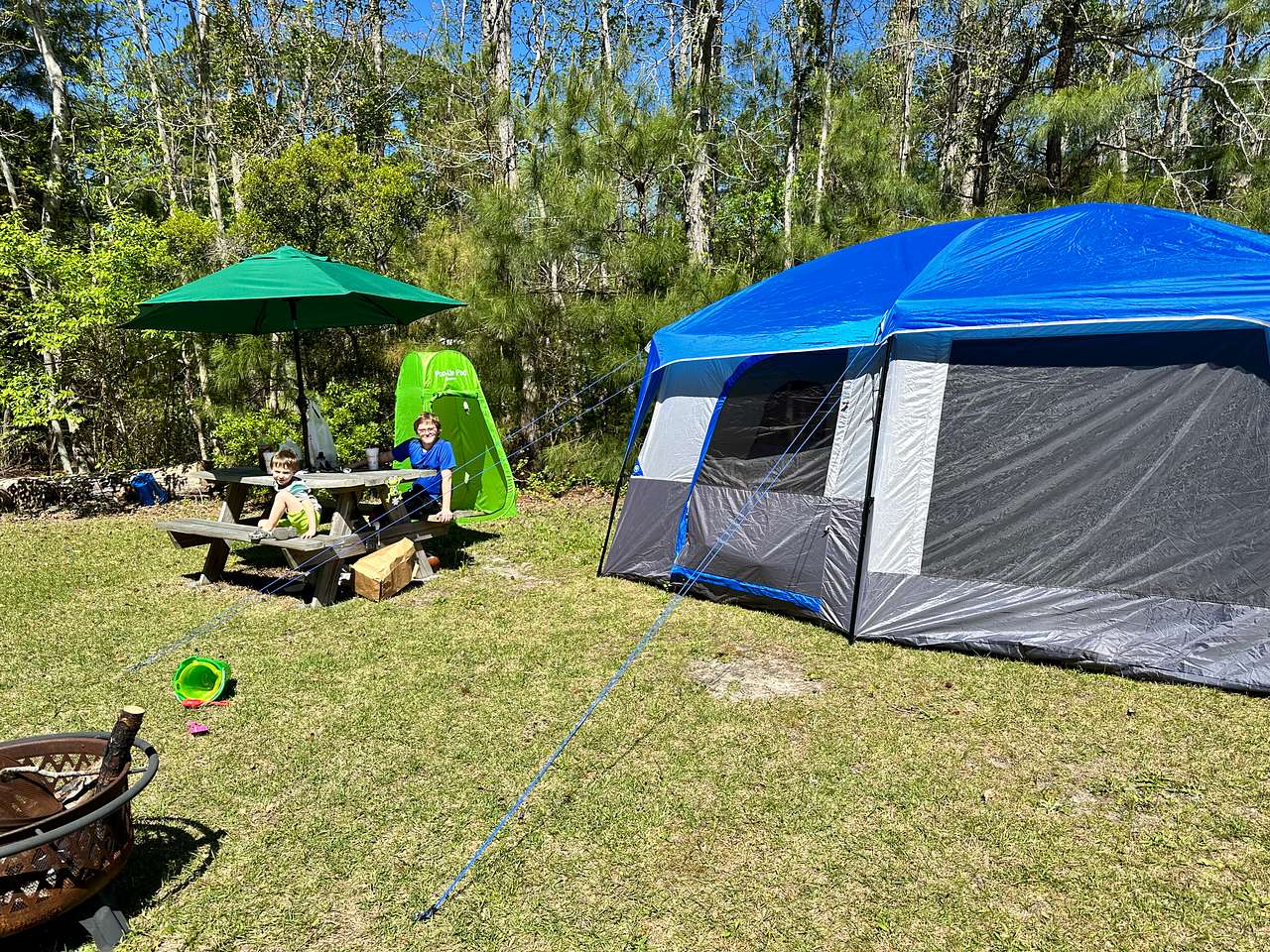 Picture of the site