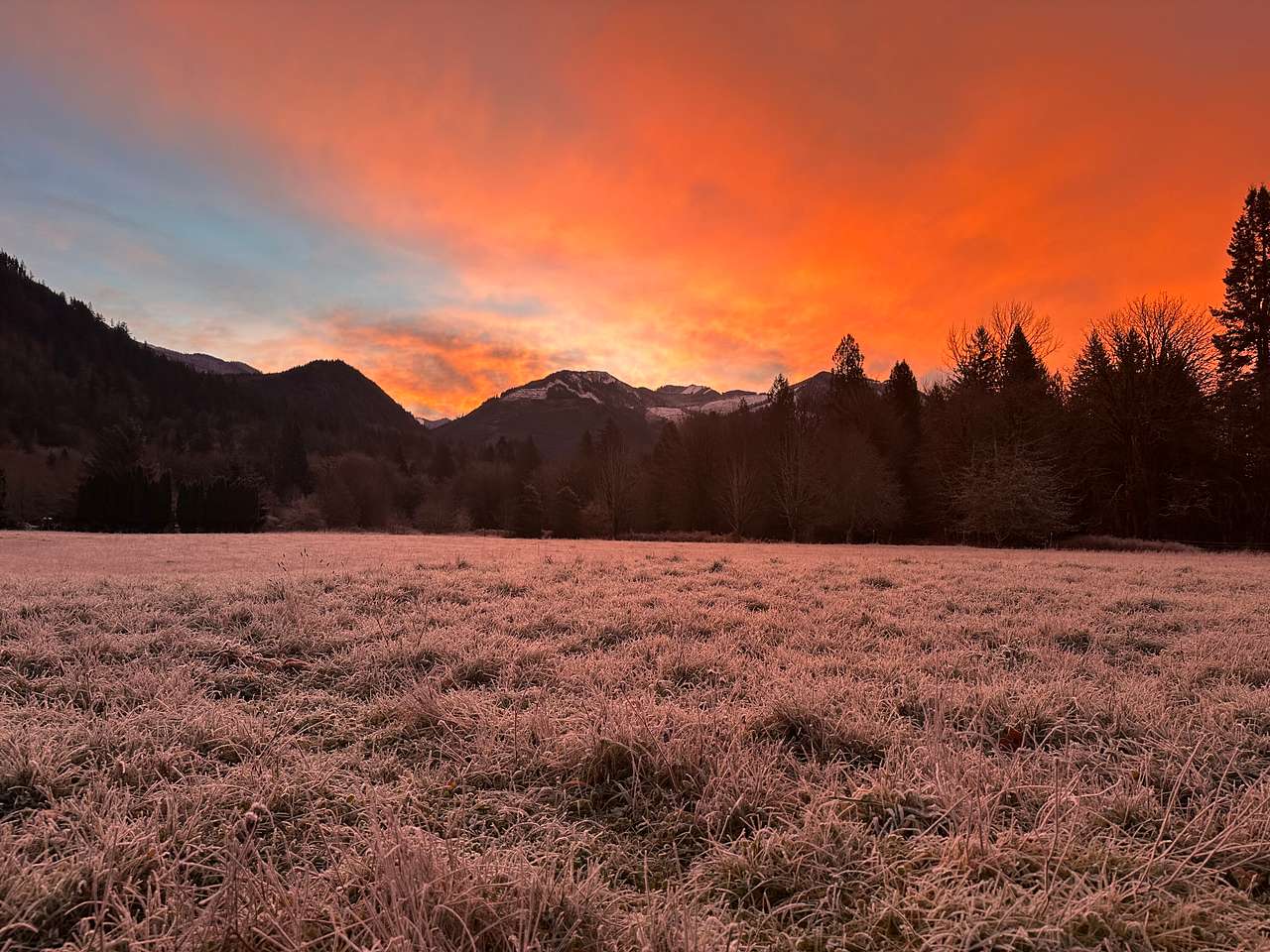 North Eagle Haven @ Mount Baker