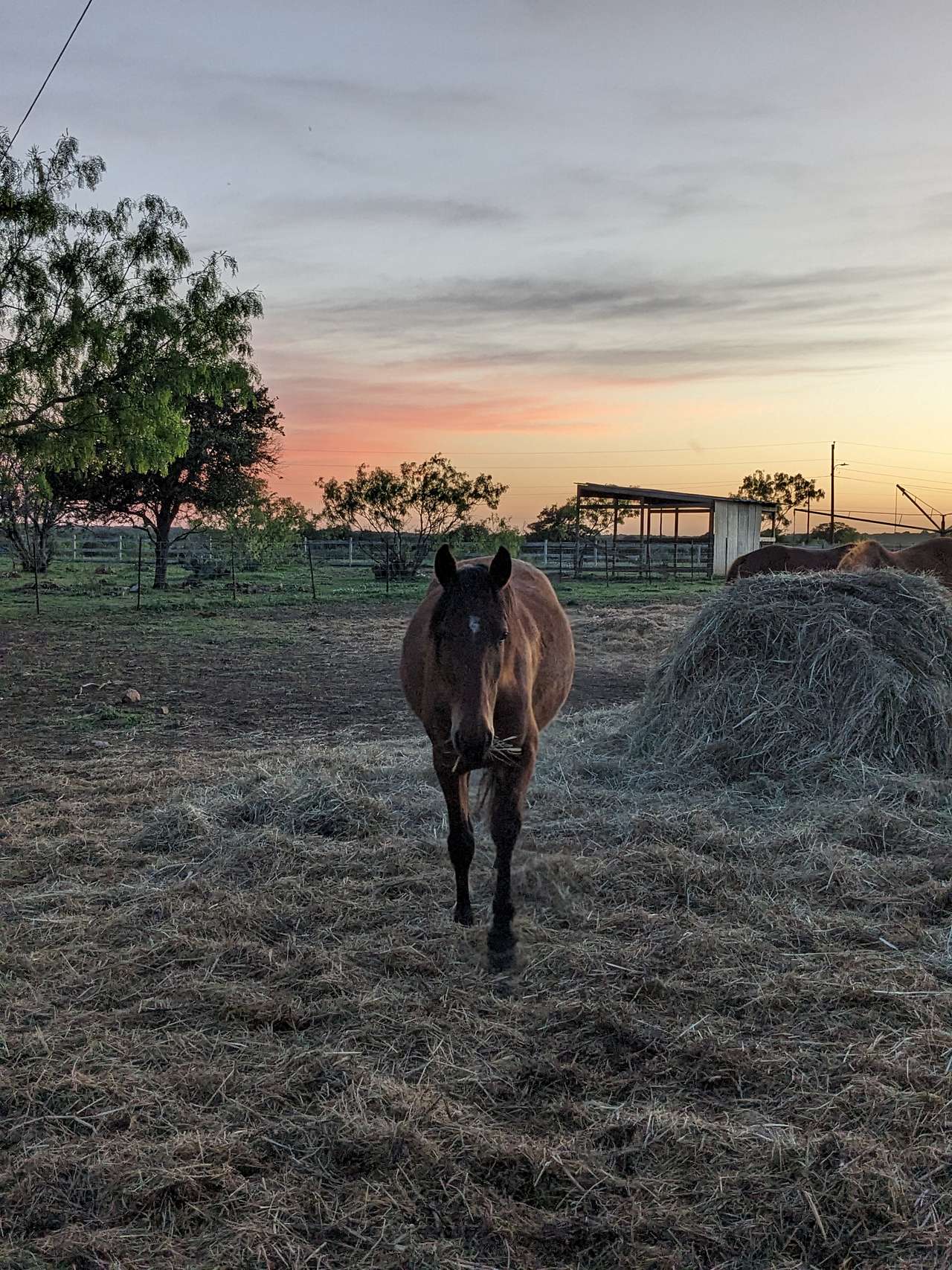 KW Equine Sanctuary and Ranch