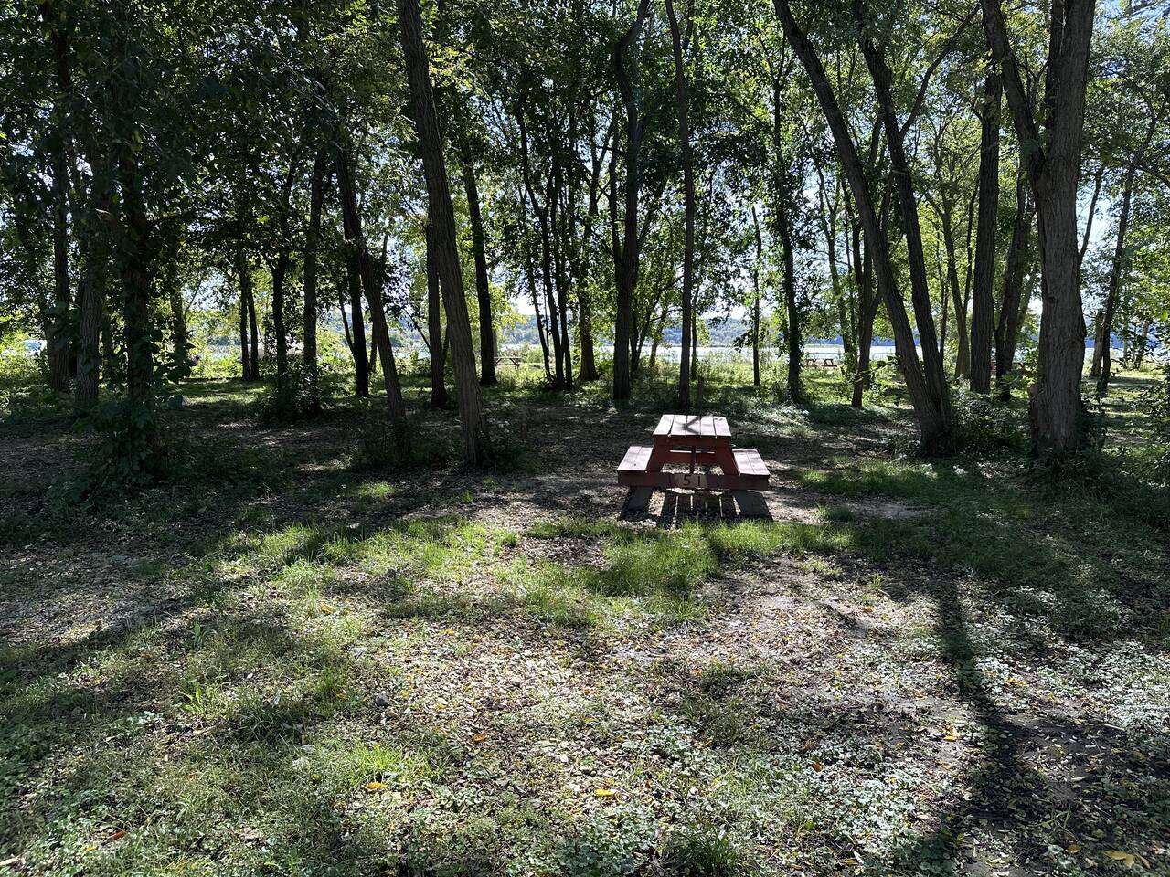 Picture of the site