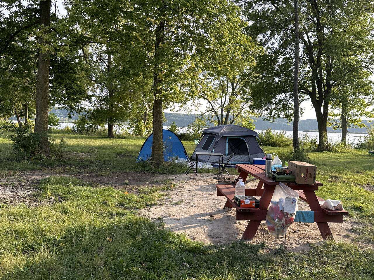 Picture of the site
