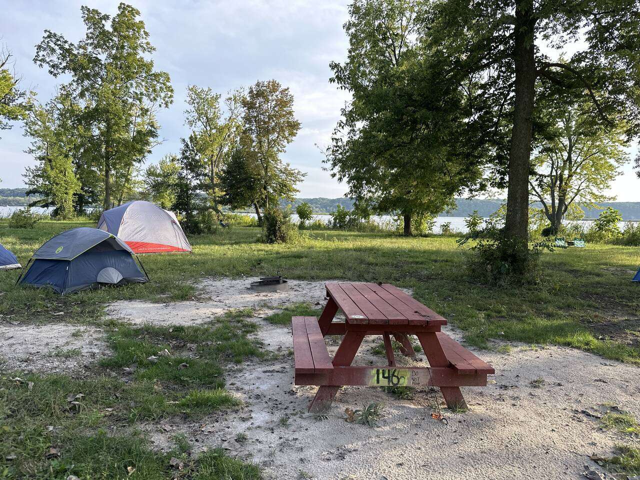 Picture of the site