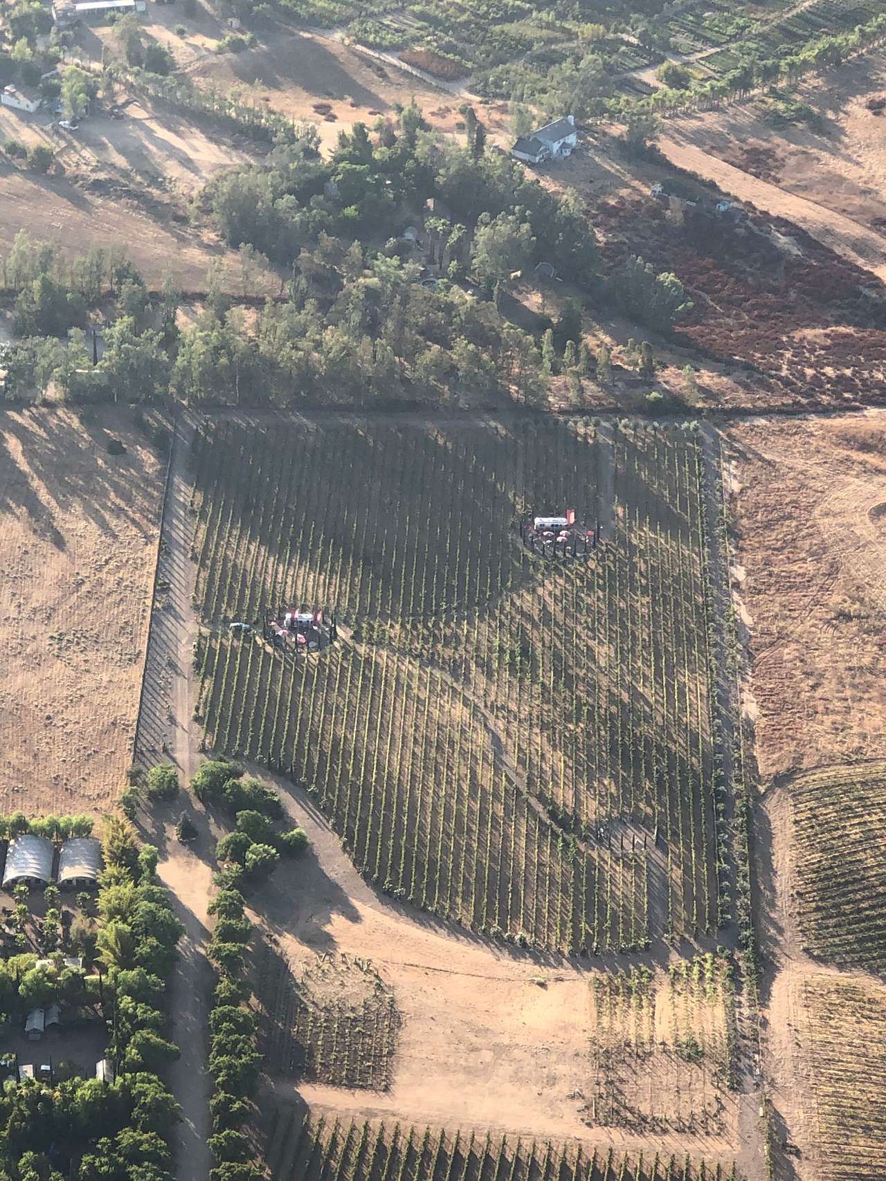 Dos Fernandos' Hideaway RV vineyard