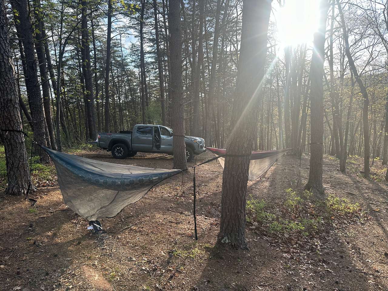 View rigs & rvs photos of Blase ‘n Love Forest