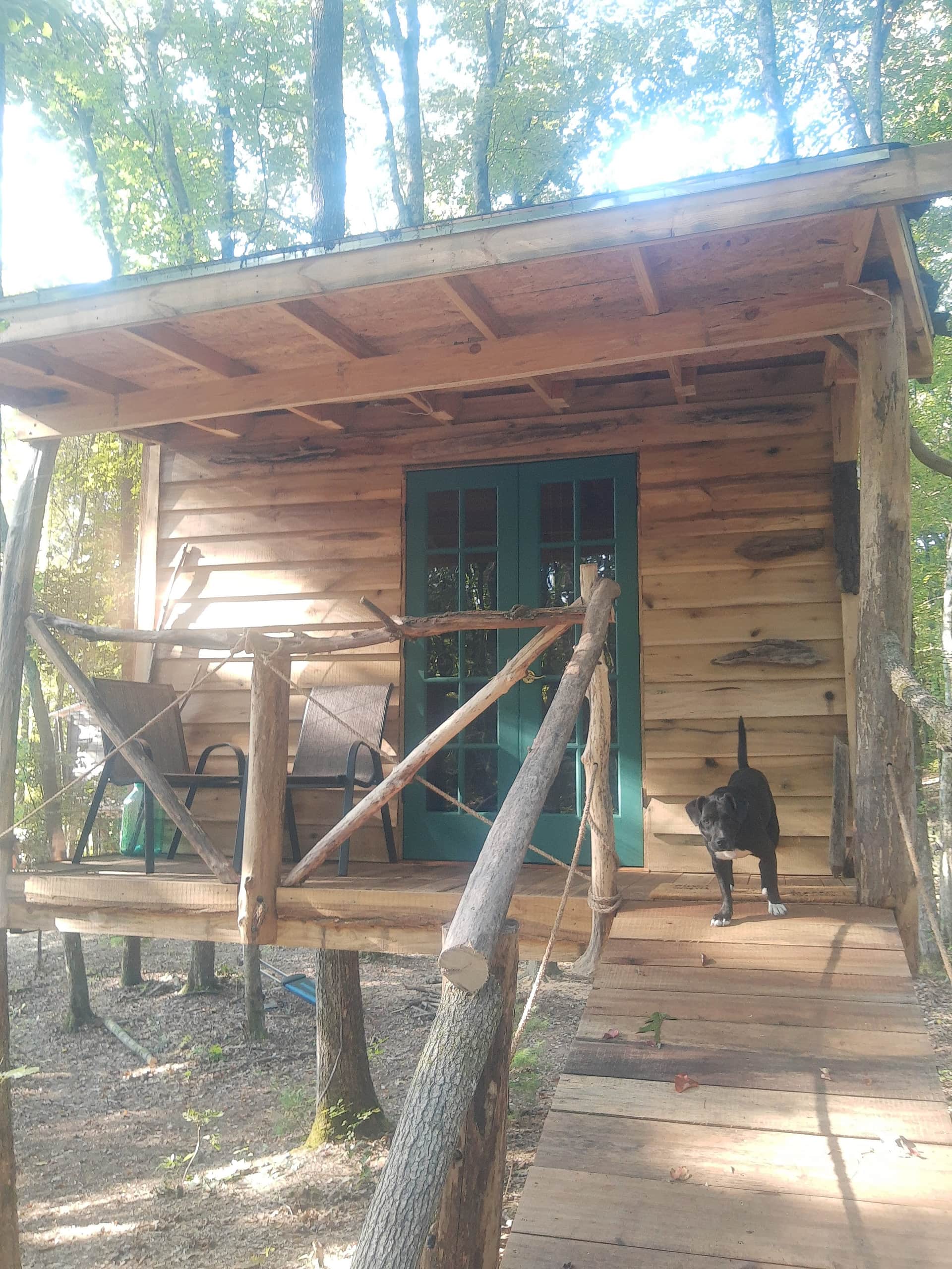 Driftwood Treehouse is cozy, private and pet friendly w/Queen and sofa beds. All you can see is forest from the porch. You can even see the firepit while laying in bed!