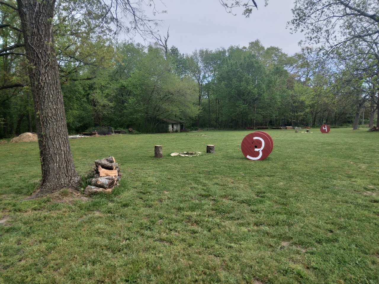 Campsite 3 has afternoon shade, thick grass, an in-ground firepit, stumps and free firewood at the site
