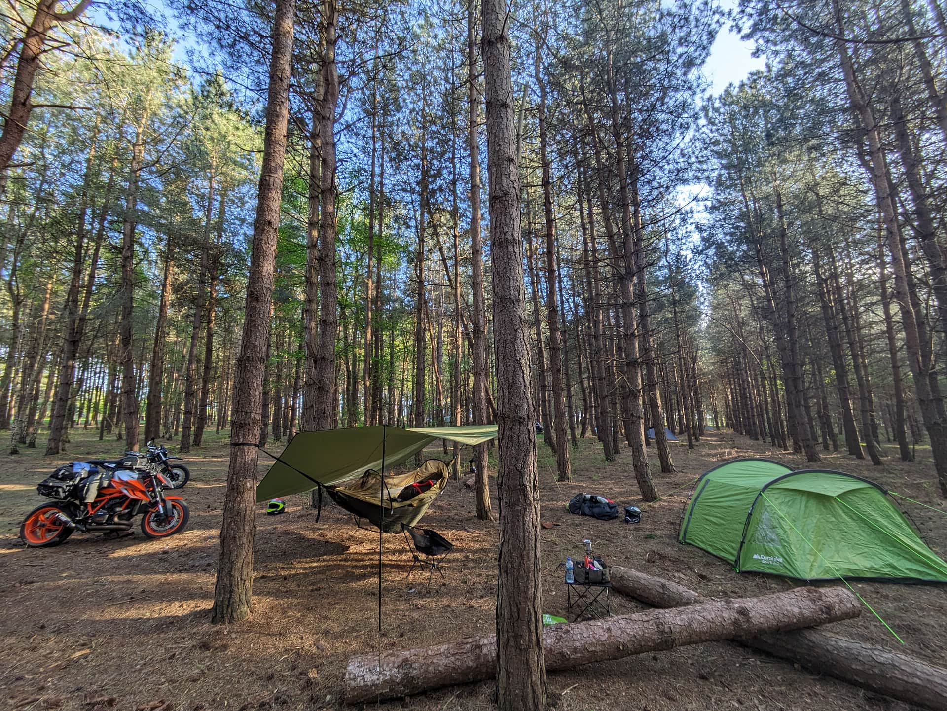 Holistic Woods Wild Campsite