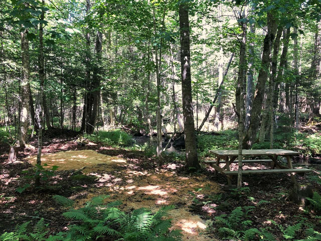 Campsite