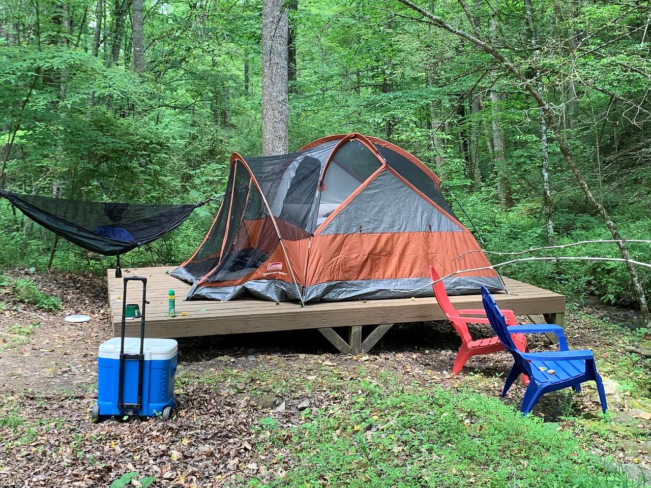 Picture of the site