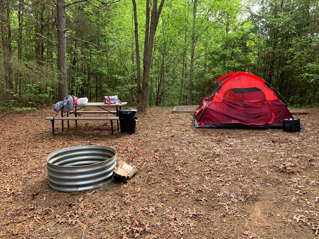 Picture of the site