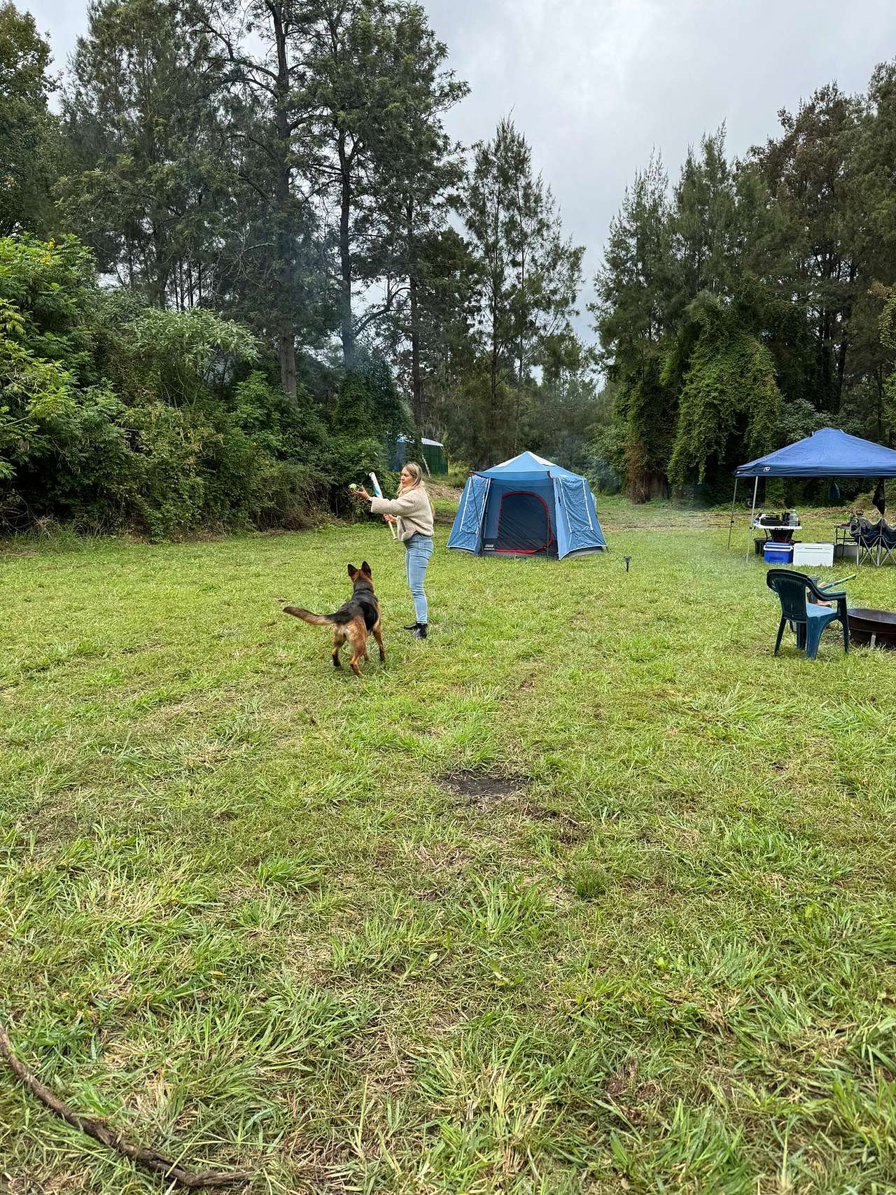 Figtree Farm at Findon Creek