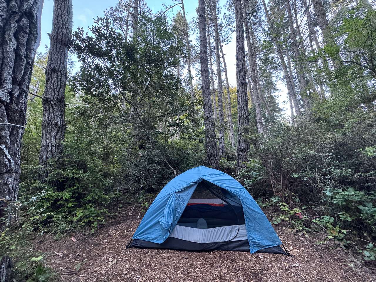 Picture of the site