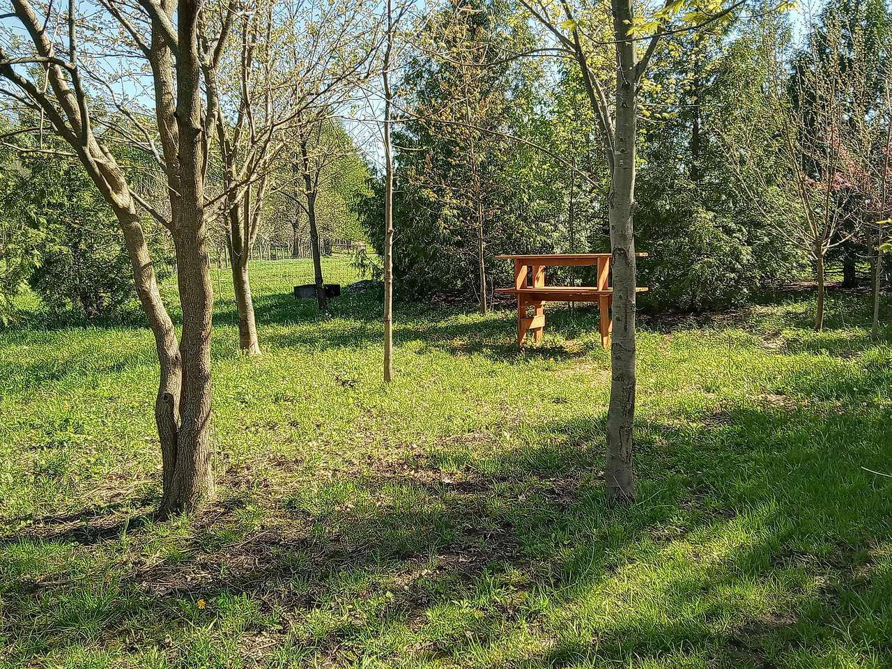 Sheepy Acres