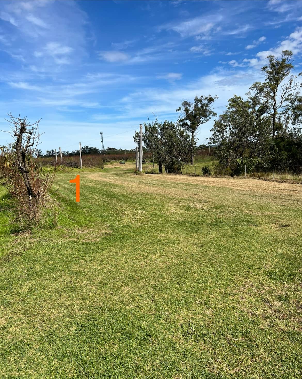Canoelands Orchard Camping