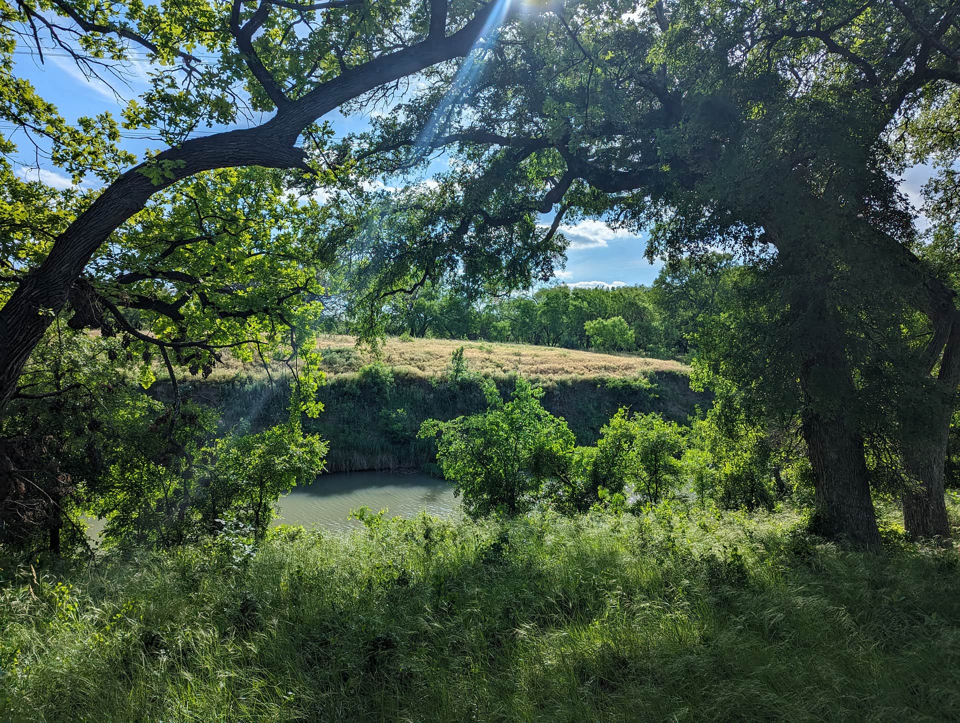 Picture of the site