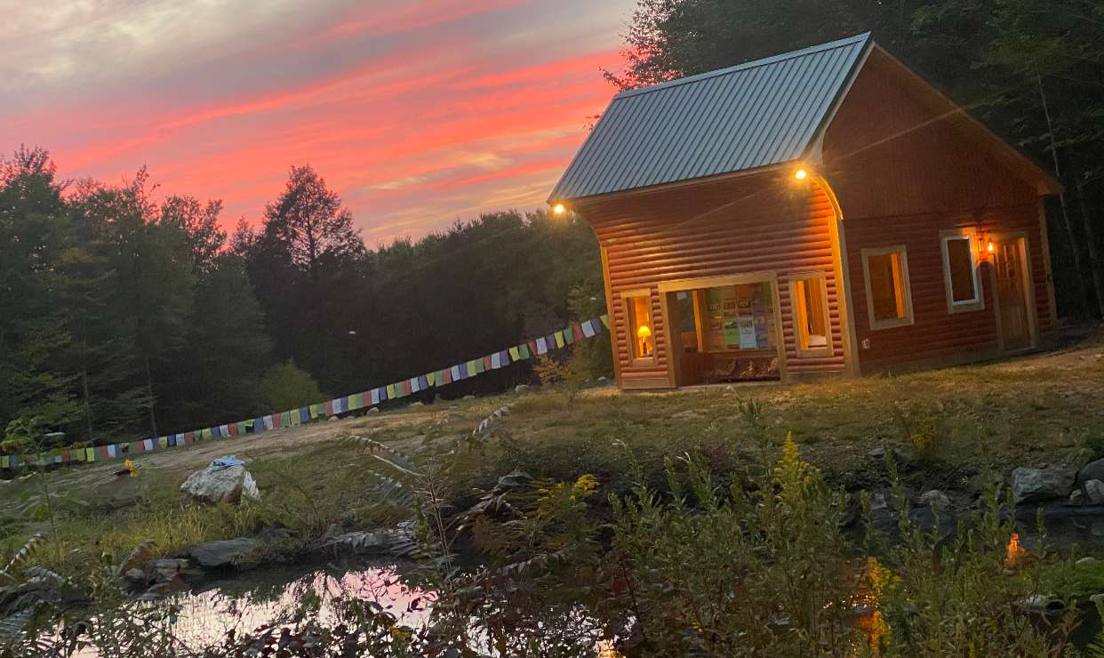 Salamander Hollow Healing Habitat