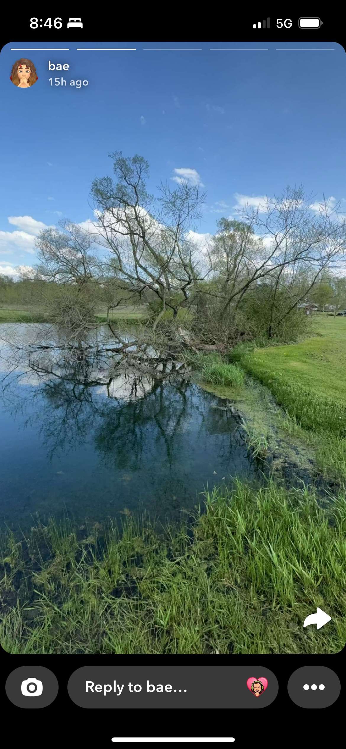 Picture of the site