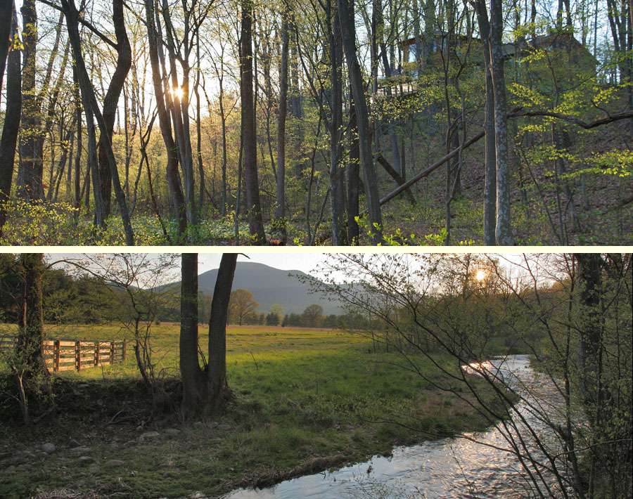 Picture of the site