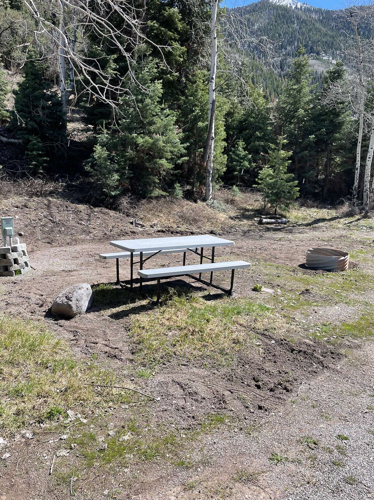 Picture of the site
