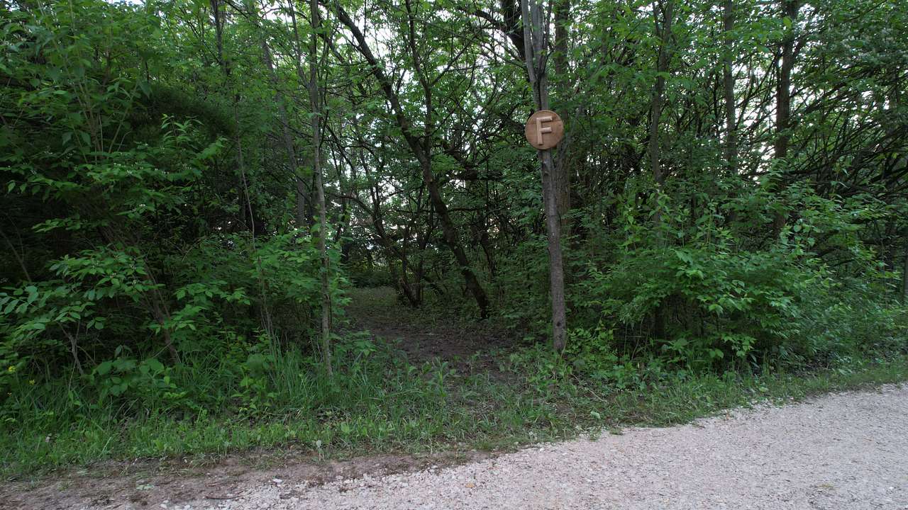 Angel Creek