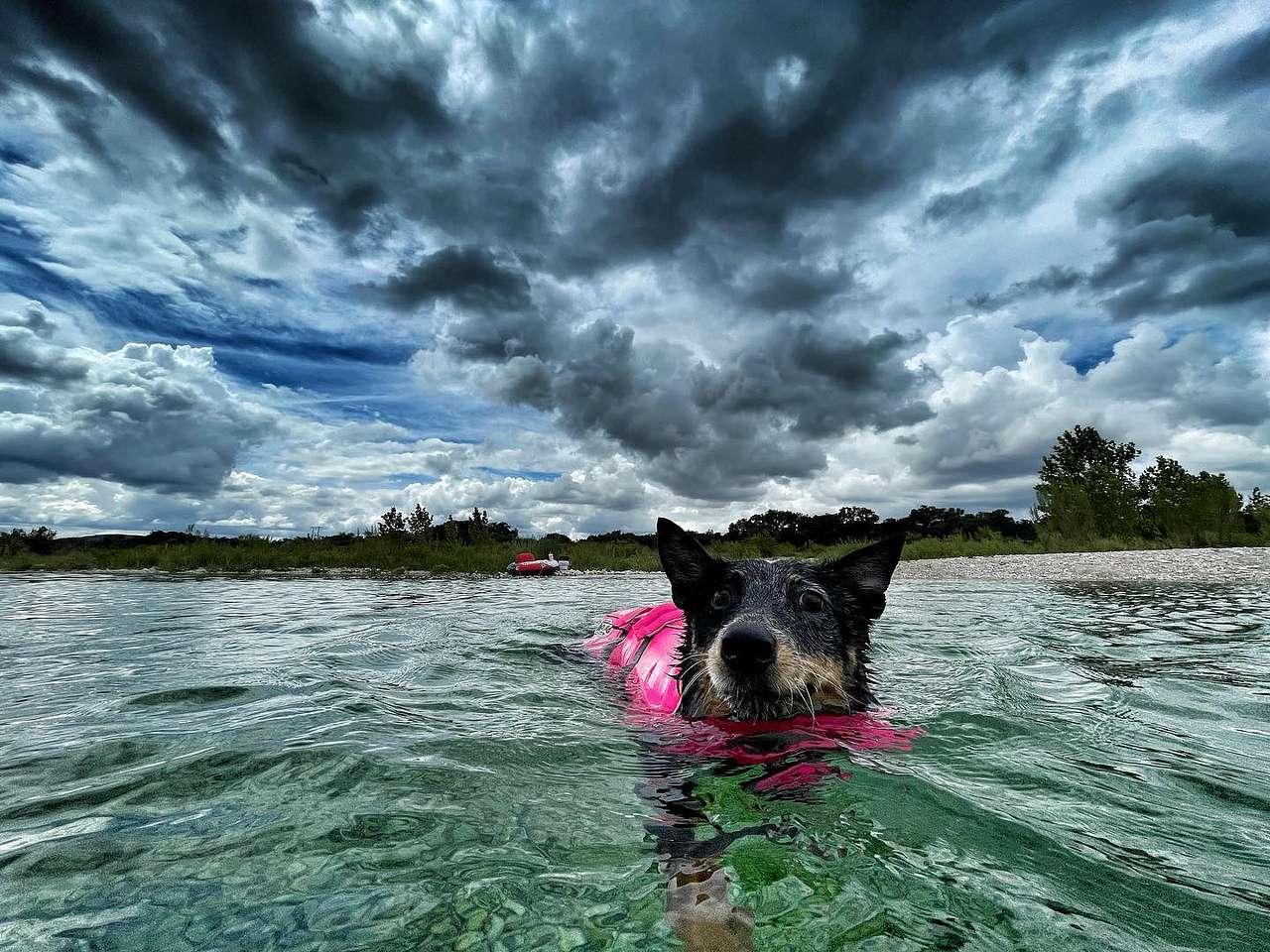 View pets photos of Los Rios Campground