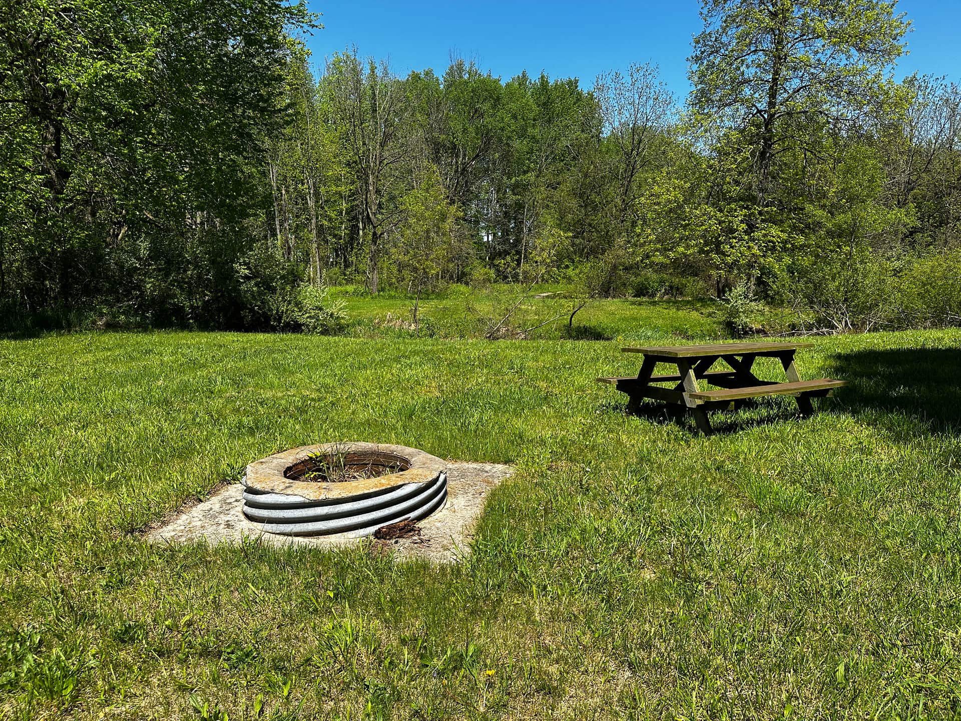 Boone Farm & Forest