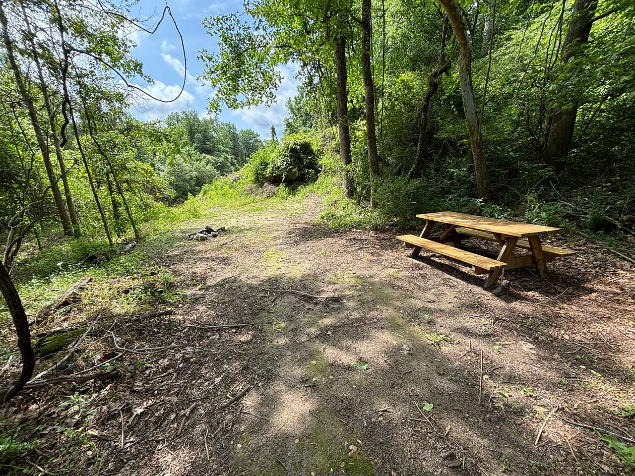 Campsite with picnic table and firepit steps from Foster Creek.