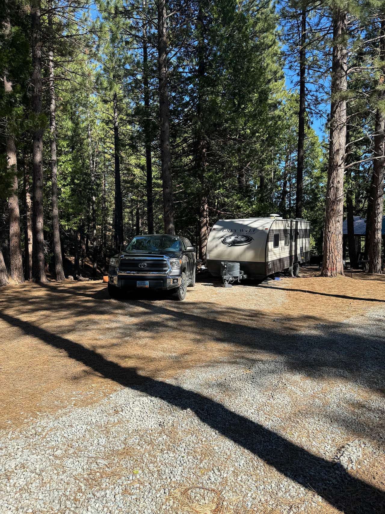 Picture of the site