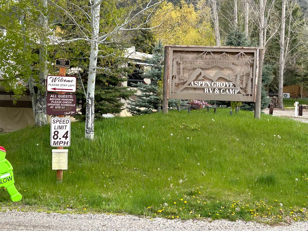 Picture of the site
