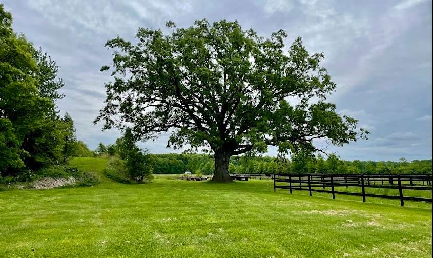 Heartland Homestead