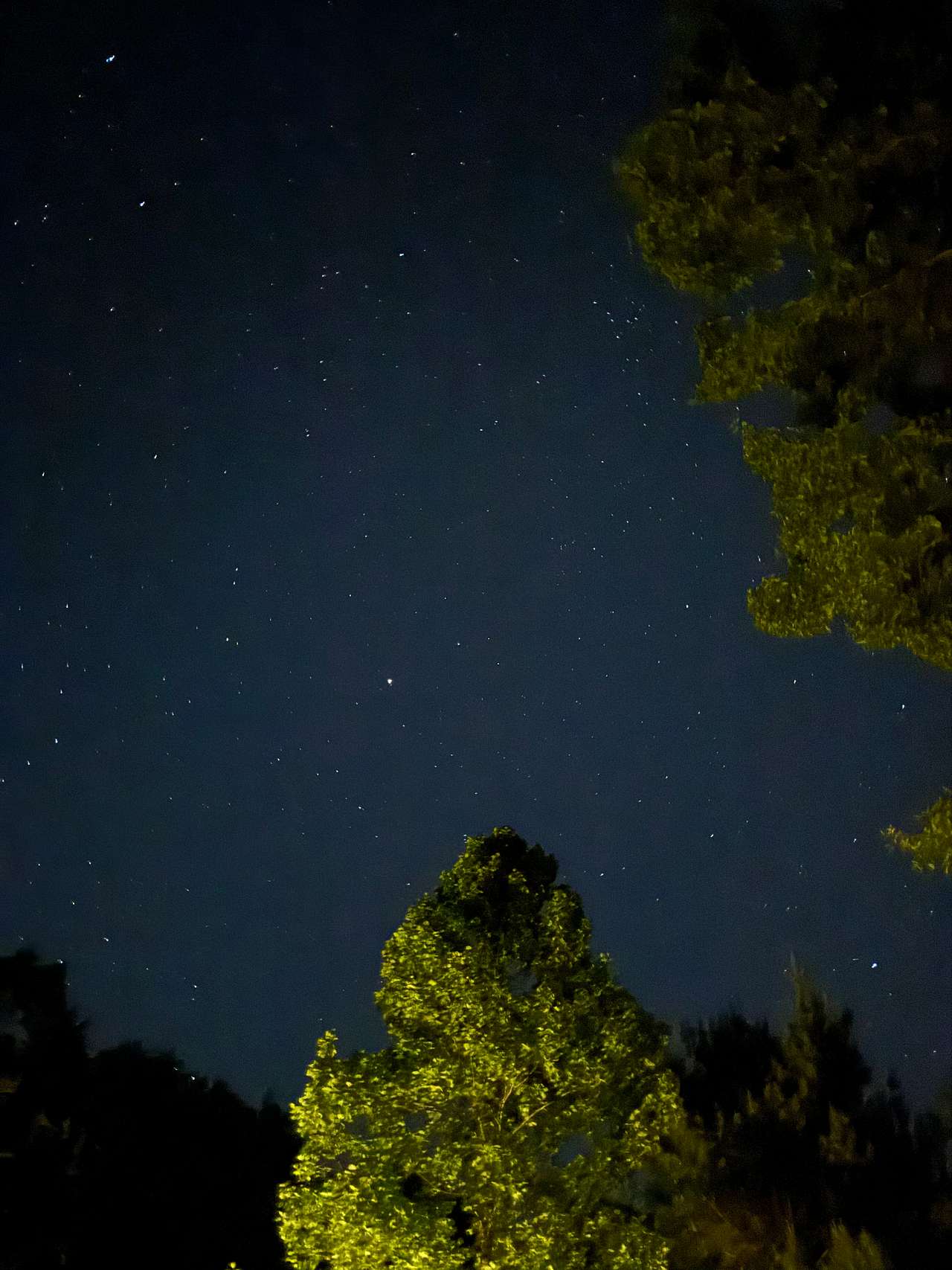 Bear Pond
