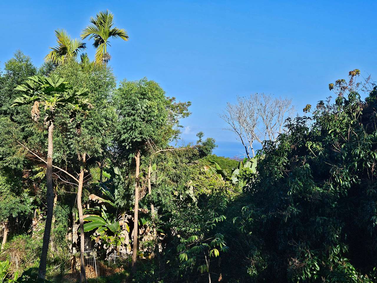 From porch during the day.