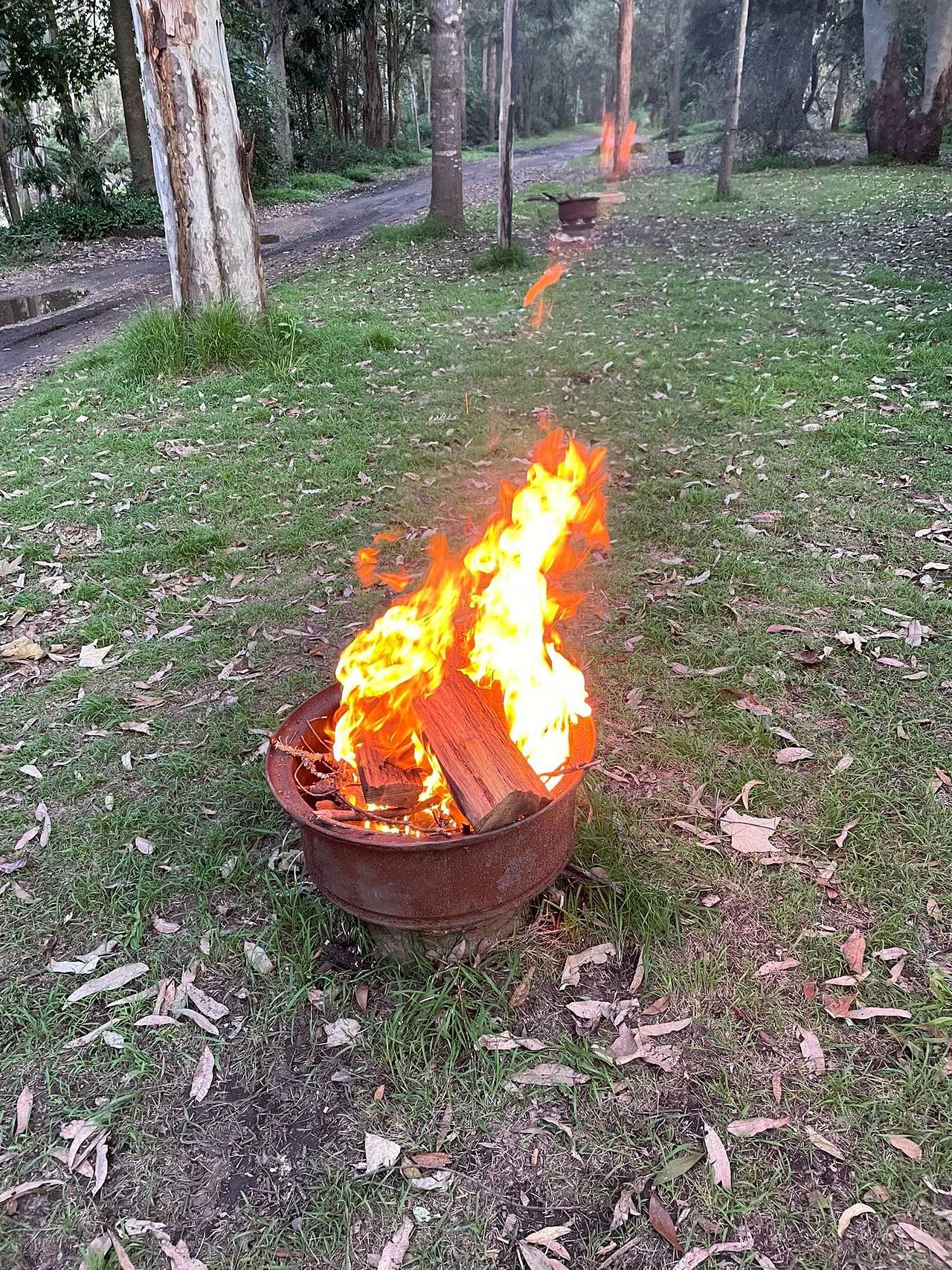 Bielany Campground @ Colo River