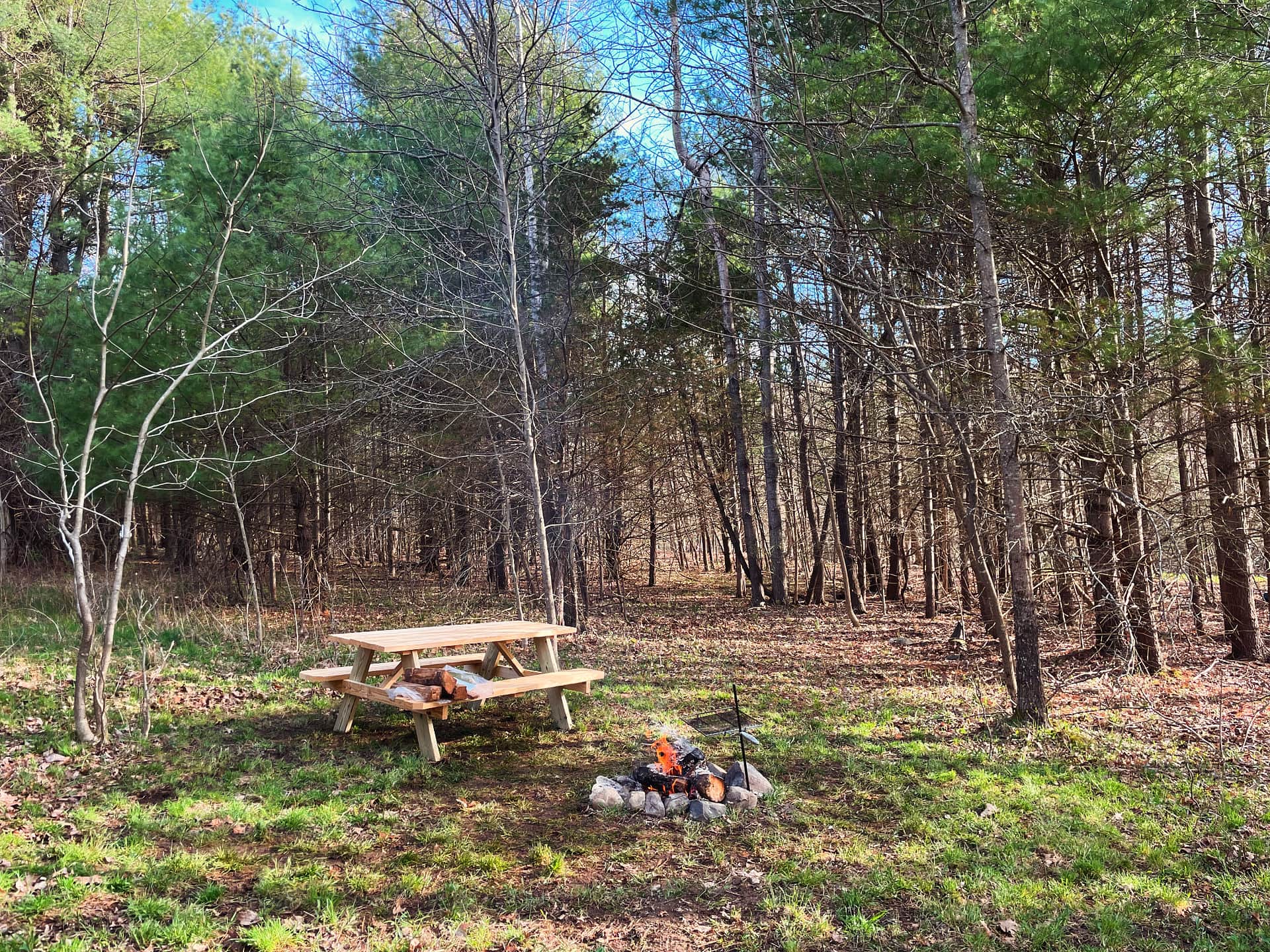 Hickory Hollow