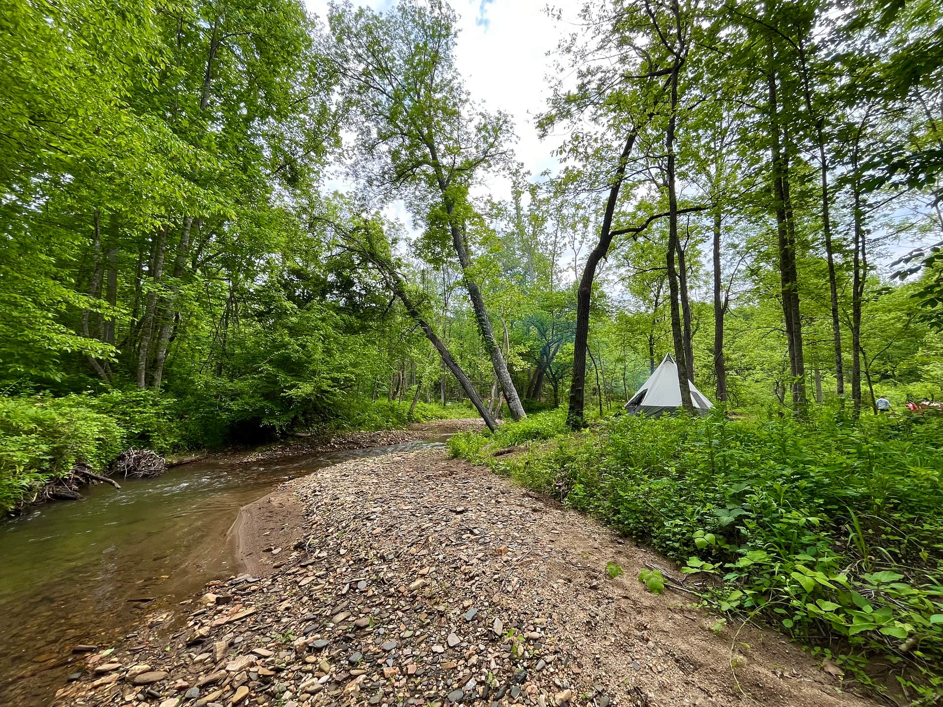 Picture of the site