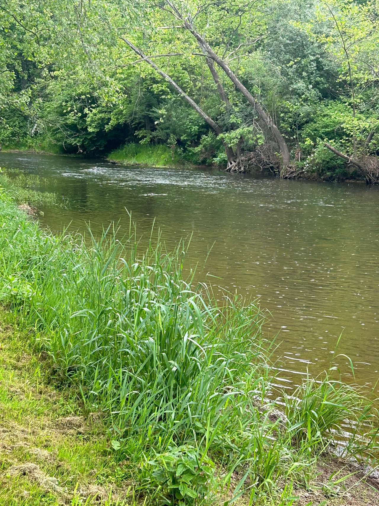 We kayaked on the creek/river on his property 