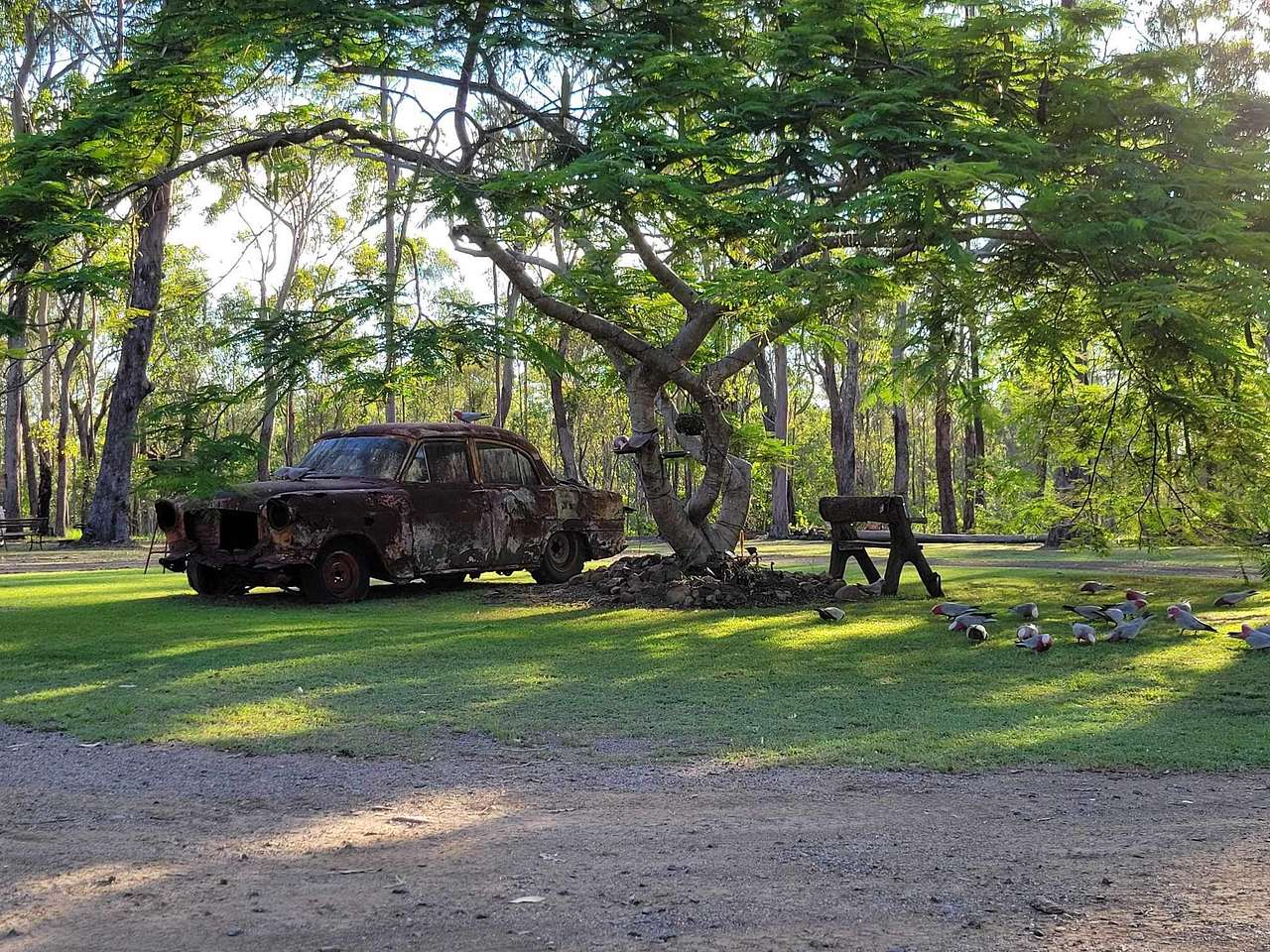 Picture of the site